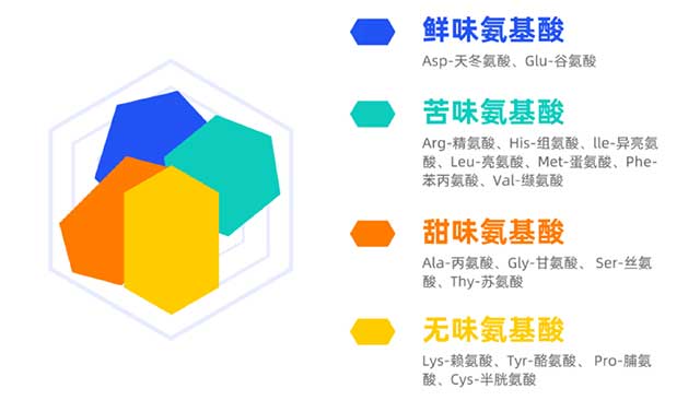 (氨基酸有很多不同的“味道” ，鲜味主要来自天冬氨酸、 谷氨酸)